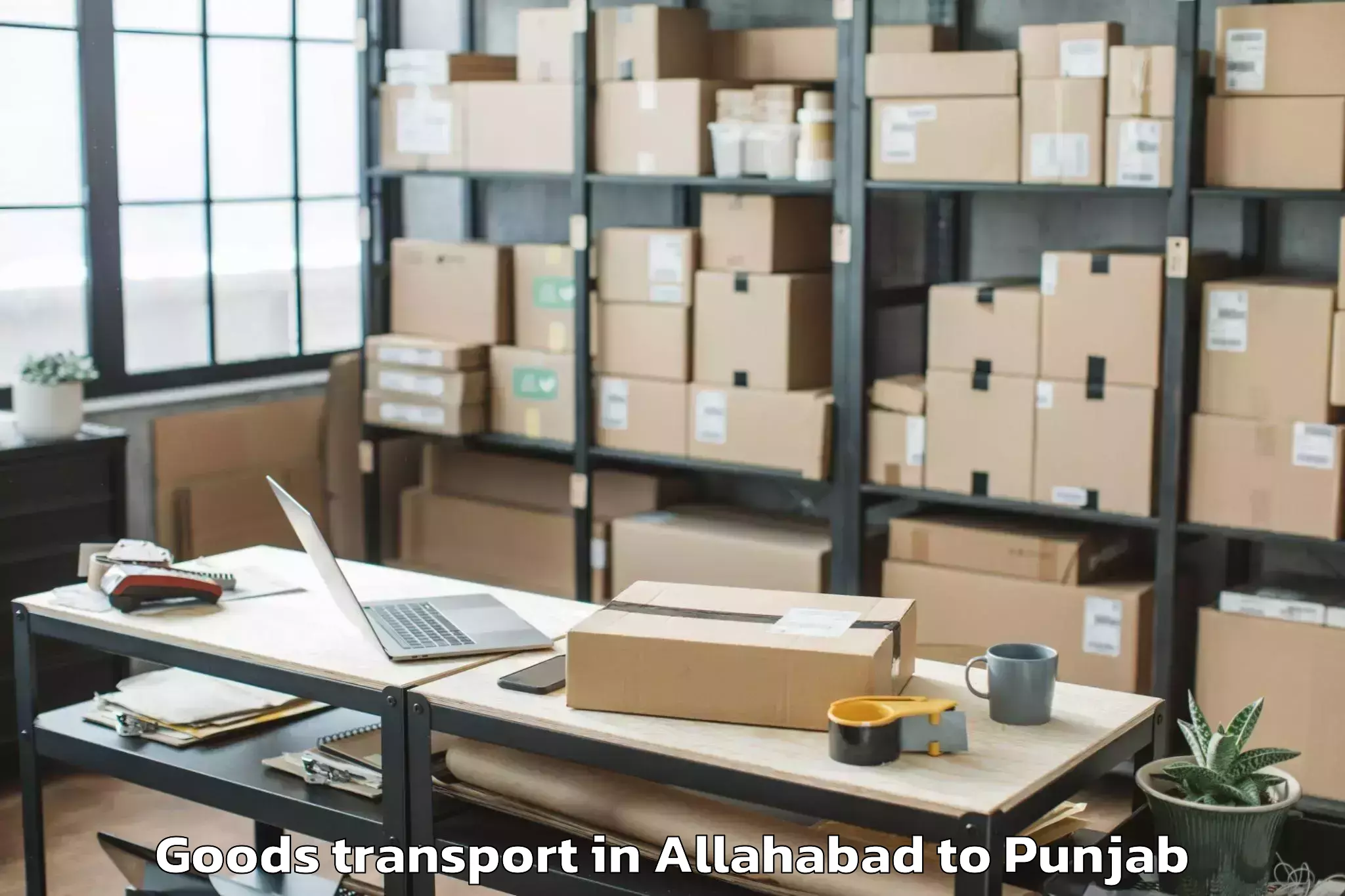 Trusted Allahabad to Punjab Goods Transport